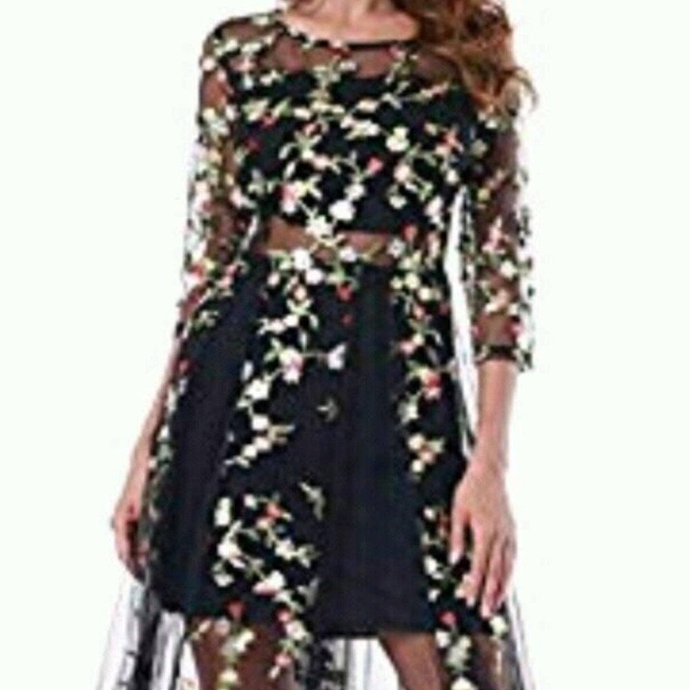 Laxary Women Floral Embroidered Organza Sheer Mesh